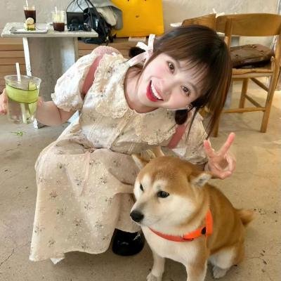 腼腆英雄封面